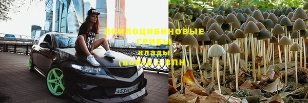 сатива Балахна