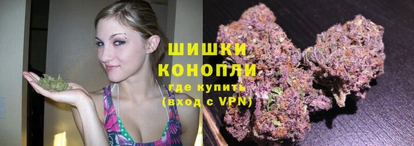 PSILOCYBIN Аркадак