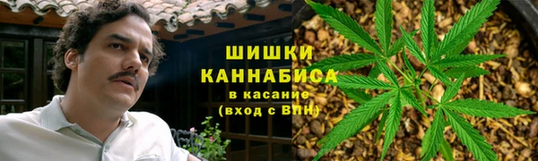 метадон Арсеньев